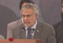 Pakistan will be free of national interest in 5 years: Dar