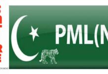 Had thought party named after current leader would be democratic, says Miftah