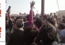 Nation’s favourite sport returns in front of massive crowd in Punjab