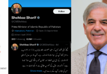 Outspoken citizen downloads VPN to continue political tweeting despite Twitter ban